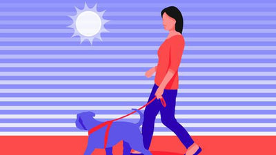Are Dogs Diurnal? Exploring the Sleep Patterns of Our Canine Companions