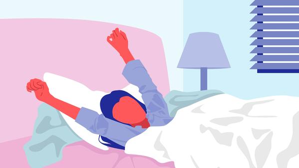 Everything You Always Wanted to Know About Sleep* (*But Were Afraid to Ask)