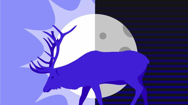 Are Deer Nocturnal or Diurnal?-Manta Sleep