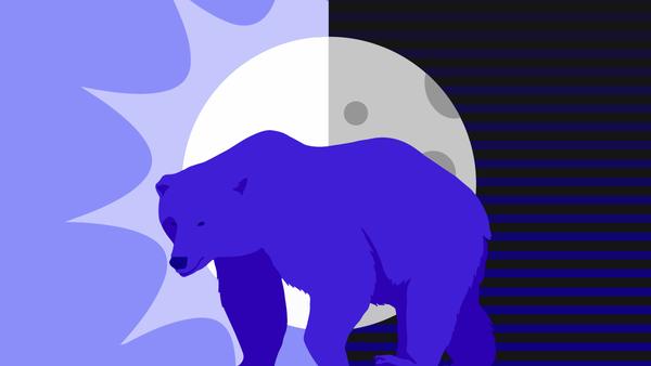 Are Bears Nocturnal or Diurnal?