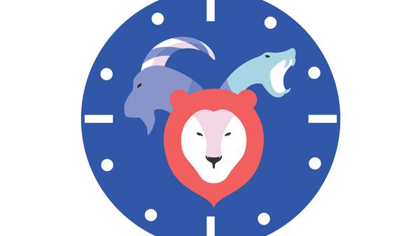 Chimeras and Chameleons: How to Optimize Your Energy if You Have a Hybrid Chronotype