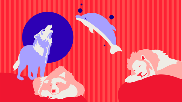 Chronotypes: How Knowing Your Chronotype Leads to Your Best Life