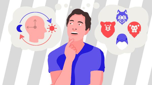 Circadian Rhythm Chronotype