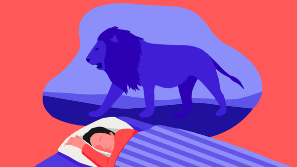 How to Tell If You Have a “Lion” Chronotype Schedule (and and How to  Capitalize On It)