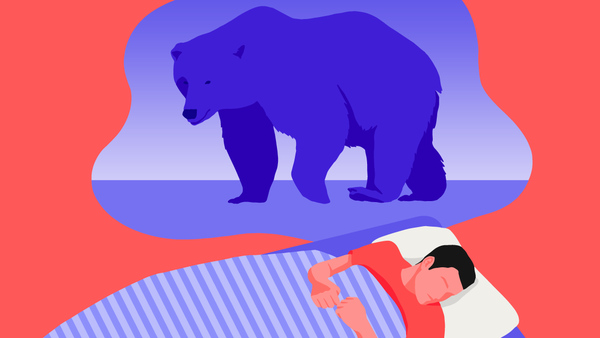 Bear Chronotype Schedule: Find Out if You Have One & How to Use It to Your Advantage
