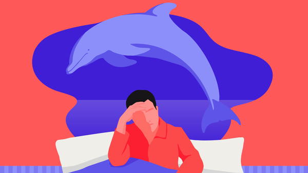 Do You Have the Dolphin Chronotype Schedule? Here’s How to Deal