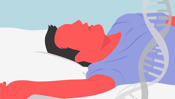 Snoring: Genes or Lifestyle? We’ve Got the Answer — and the Solutions
